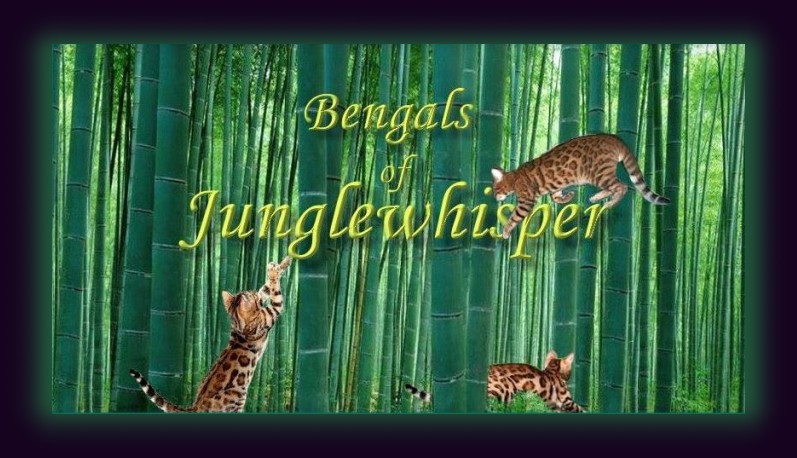 Junglewisper
