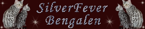 Silverfeverbengals